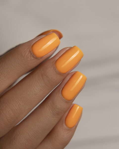 the deep edit bio sculpture collection